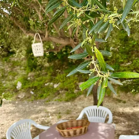 Overlooking Hill New Tipical Sicilian House In Rustic Style With Private Garden And Parking