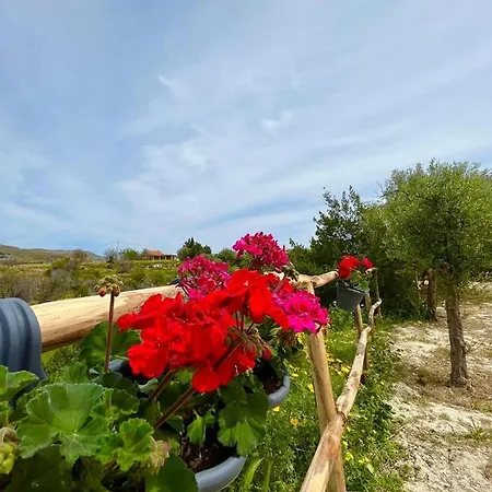 Overlooking Hill New Tipical Sicilian House In Rustic Style With Private Garden And Parking Villa *
